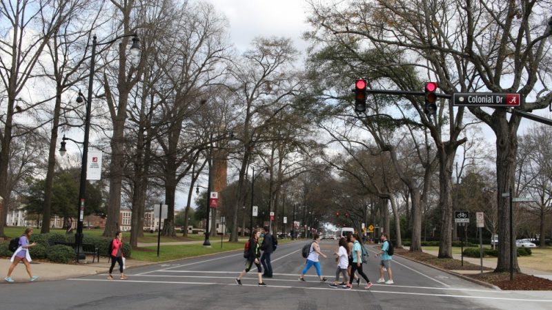 Distracted Pedestrians Put Themselves in Danger